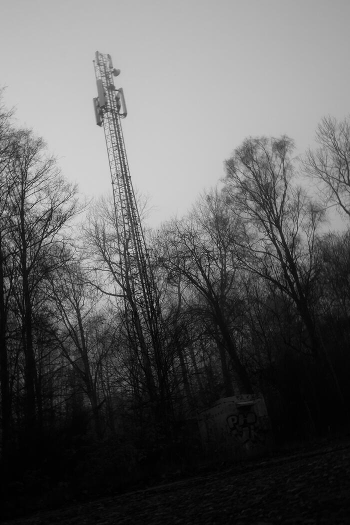 Untitled Untitled